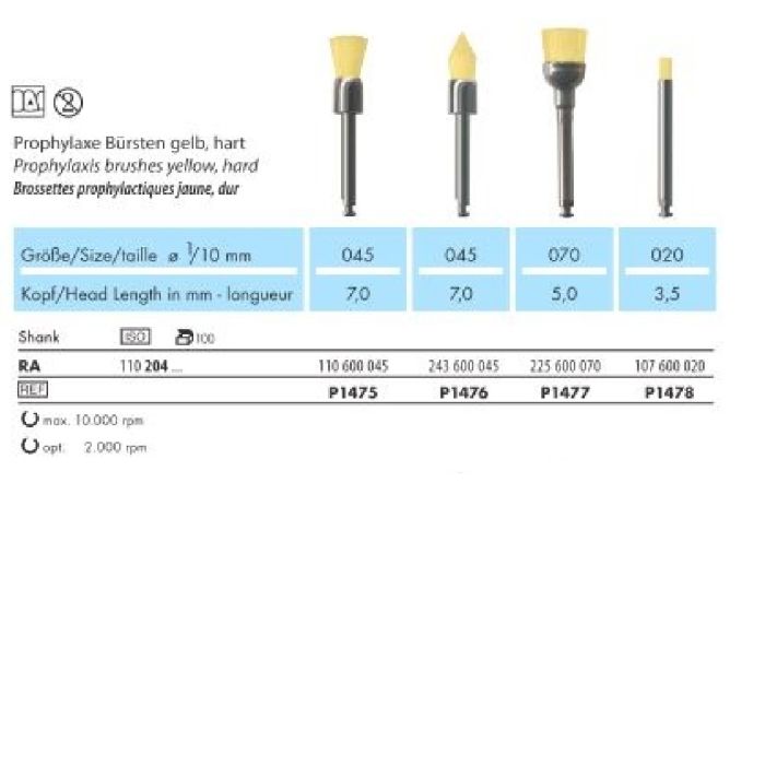 P1475 PROFÜLAKTILISED HARJAD KOLLANE HARD/SILINDER 1TK