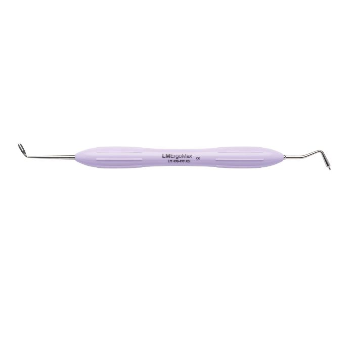 LM 498-499 XSi ARTE POSTERIOR MISURA