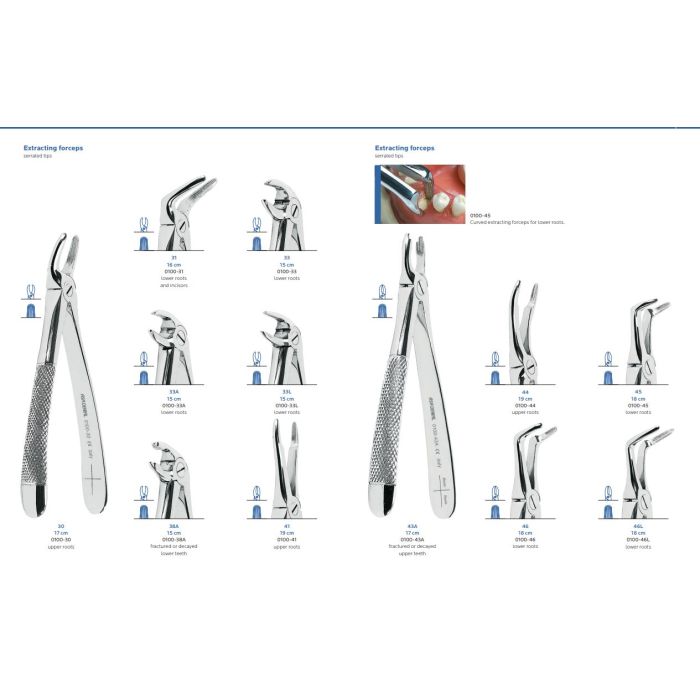 HAMBATANG ASA  0100-33 (alumised juured)