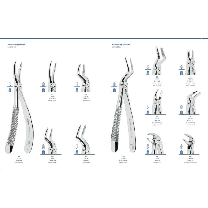 HAMBATANG ASA  0100-51 (ülemised juured)