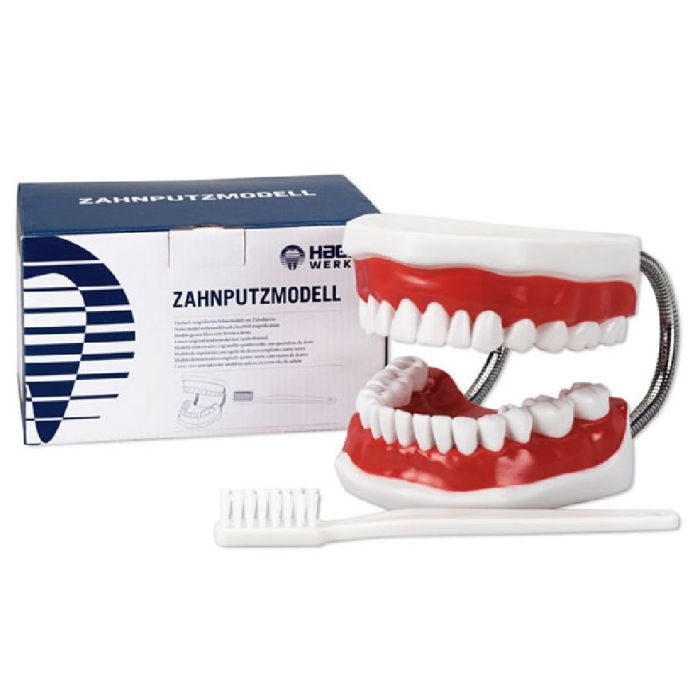 HAMMASTE MULAAZ 1 TK 355636