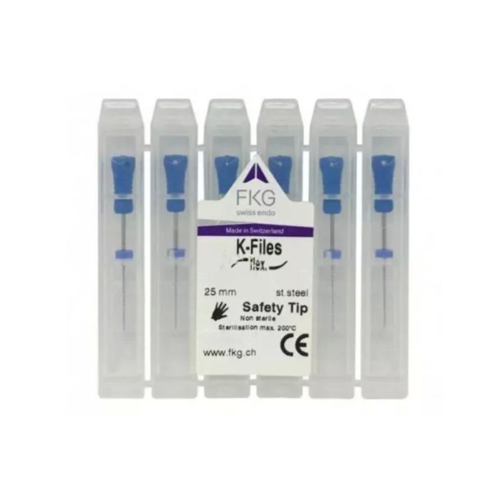 K-FILE FKG No60 25MM 6TK 01.154.25.060.CG