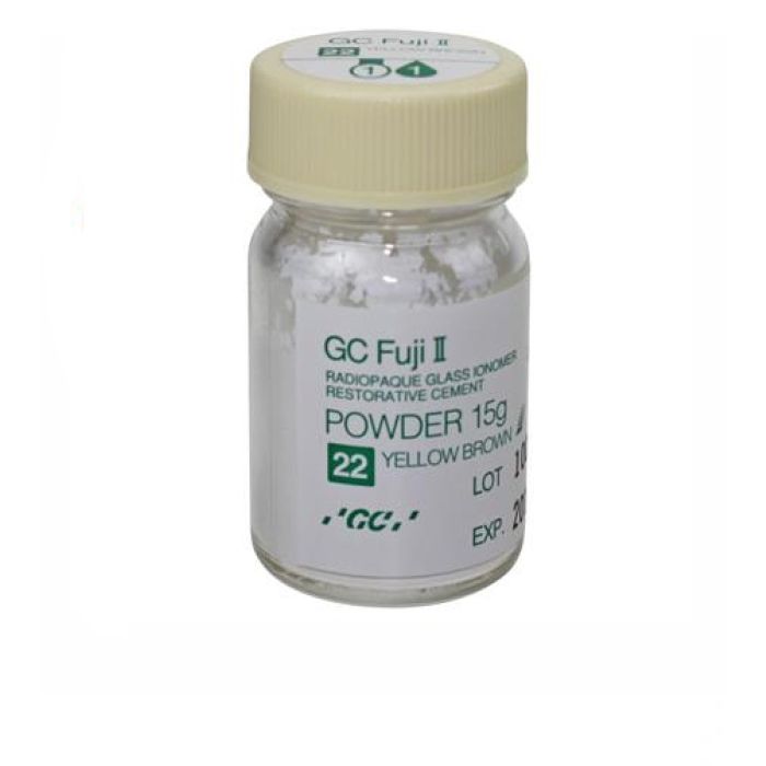 FUJI TYPE II No.22 PULBER (A3) 15G 000096/10007500