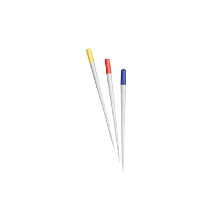 PAPER POINTS PROTAPER GOLD F2/25 180TK A241W