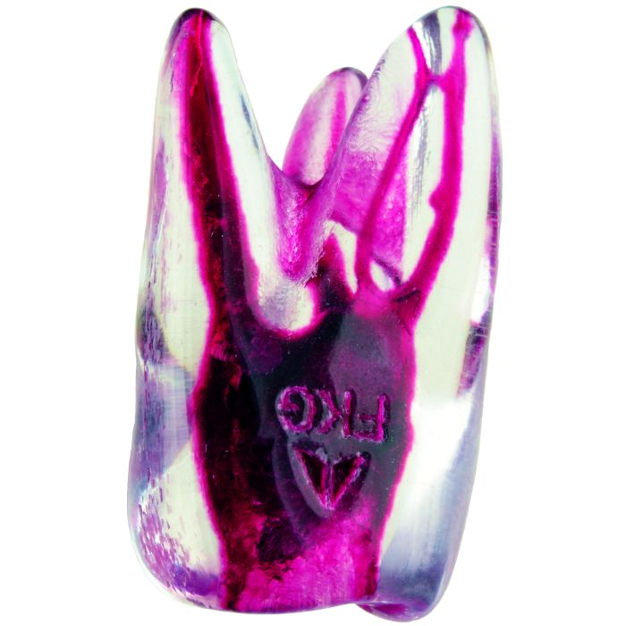 FKG-3D TOOTH -FIRST UPPER LEFT MOLAR #26-01 1TK 99.999.70.07A.XX
