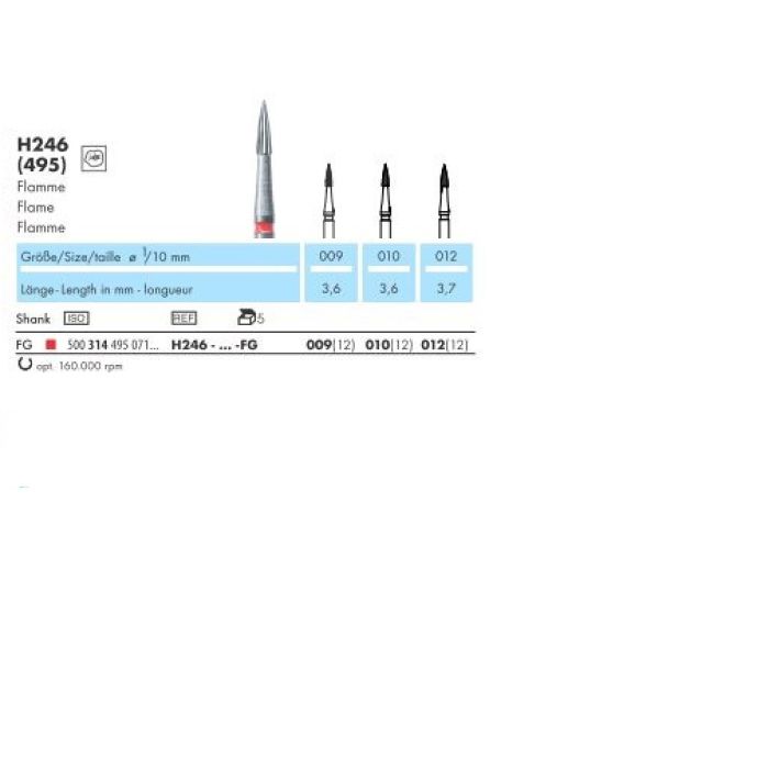 H246-009-FG 1TK